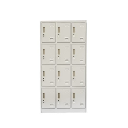 Lifetime Storage Locker
